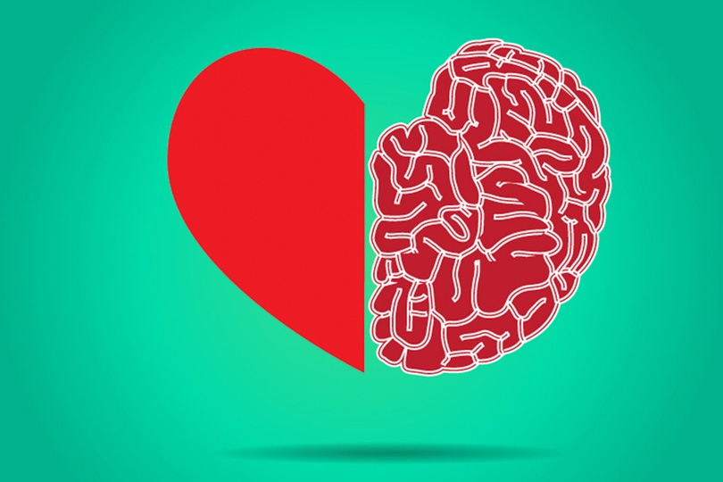 Heart and Brain