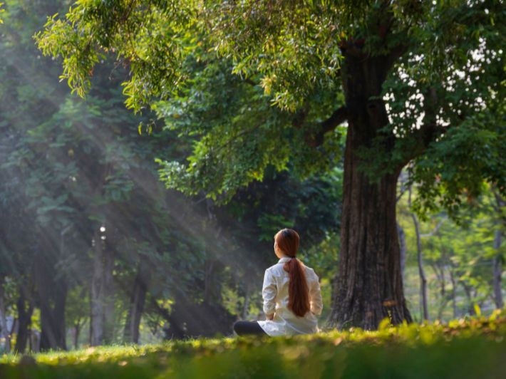 Contemplation Of God's Creation